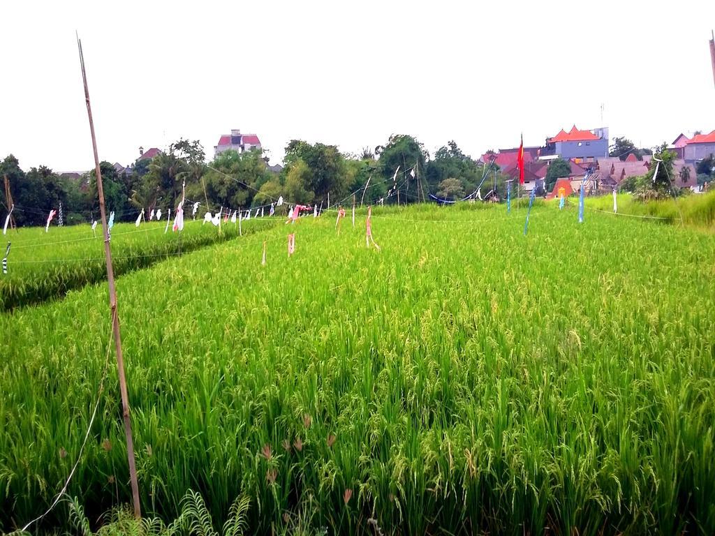 Reddoorz At Kerobokan Seminyak 2 Экстерьер фото