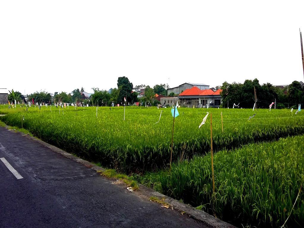 Reddoorz At Kerobokan Seminyak 2 Экстерьер фото
